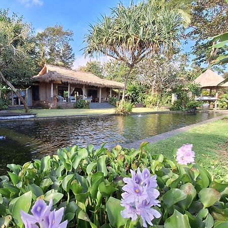 Bali Beach Eco Villas Pondok Matekap Selemadeg  Екстер'єр фото