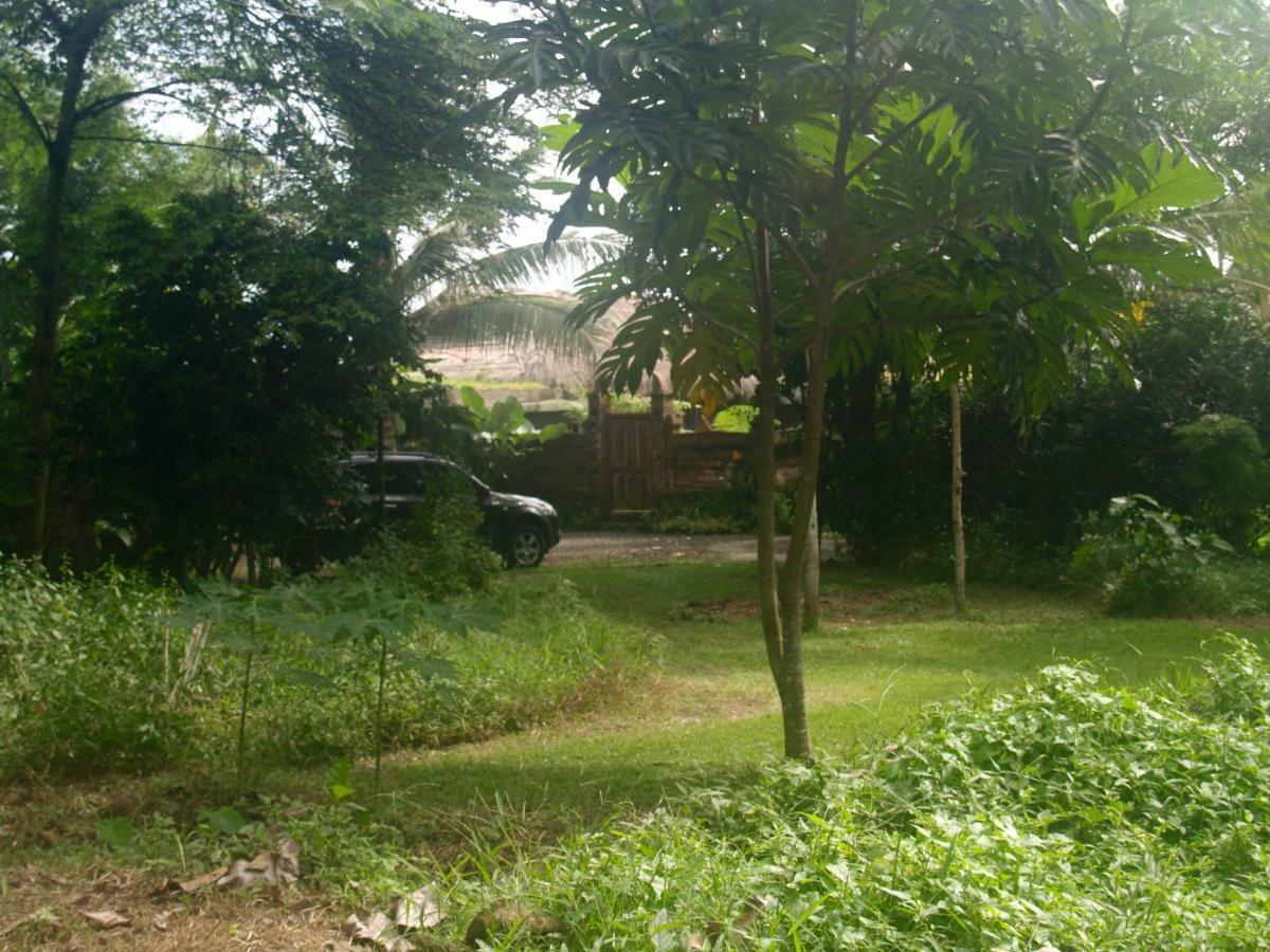 Bali Beach Eco Villas Pondok Matekap Selemadeg  Екстер'єр фото